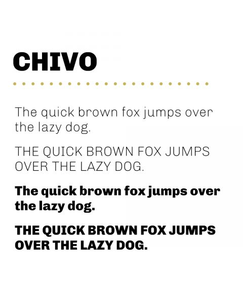 Primary Typeface - Chivo