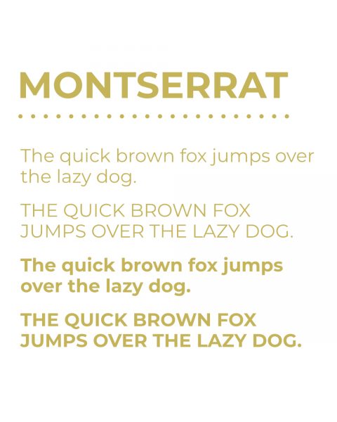 Secondary Typeface - Montserrat